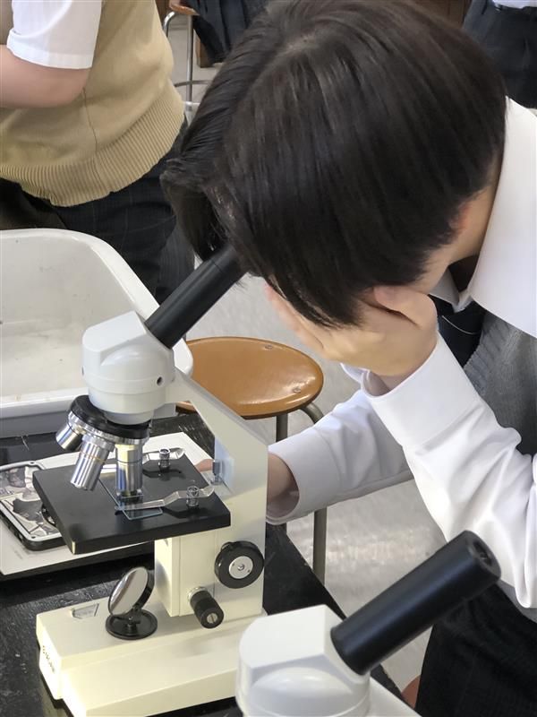 画像 (1)